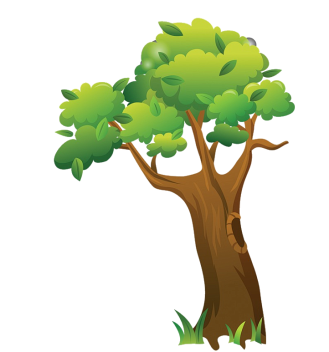 树png