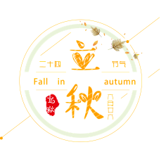 湫°采集到排版