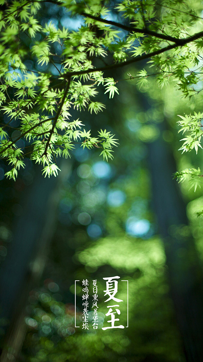 All_Into_Ashes采集到背景丶素材