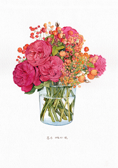 小橙橙ONE采集到花卉