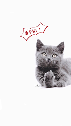 图饭sir采集到【动物~猫咪鹿手机壁纸】