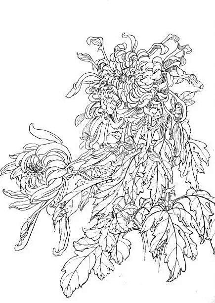 白描是中国画技法名指单用墨色线条勾描形象而不施色彩的画法白描也是