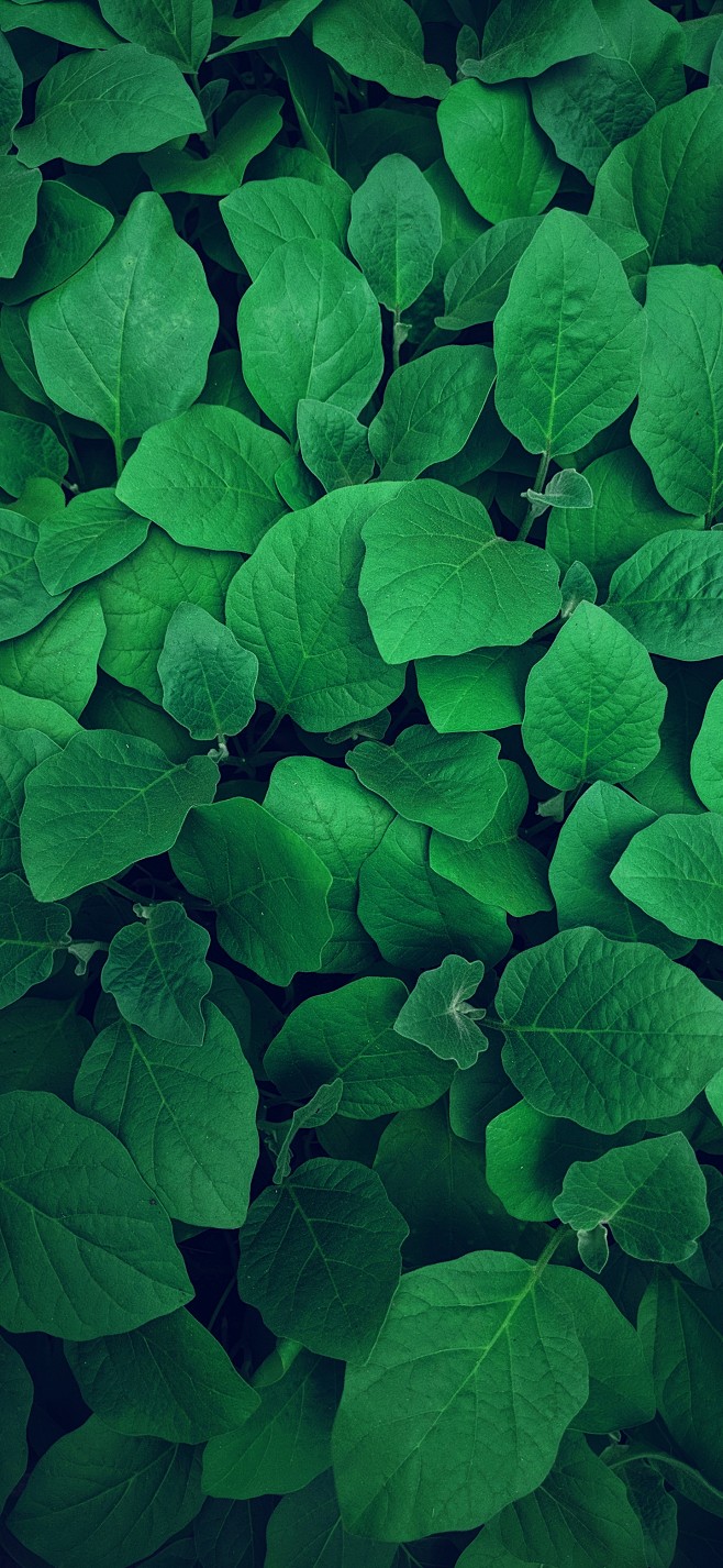 醒着做梦h从七浪转采于2021-03-22 15:57:02绿花鸟鱼虫醒着做梦h该