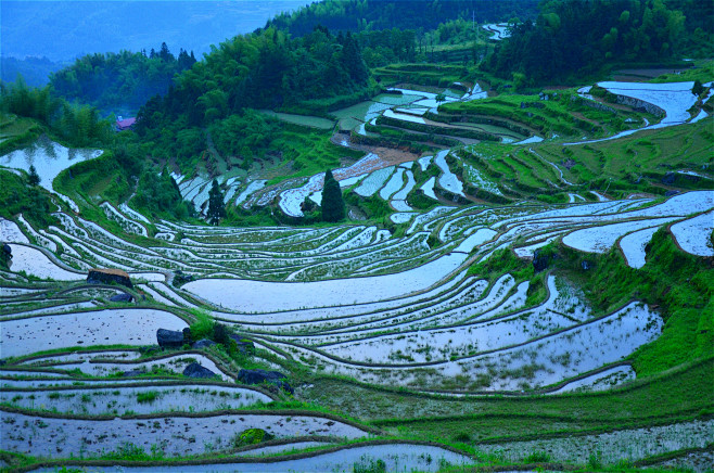 麗水景點大全景點排名_麗水旅游景點大全排名_麗水旅游景點大全