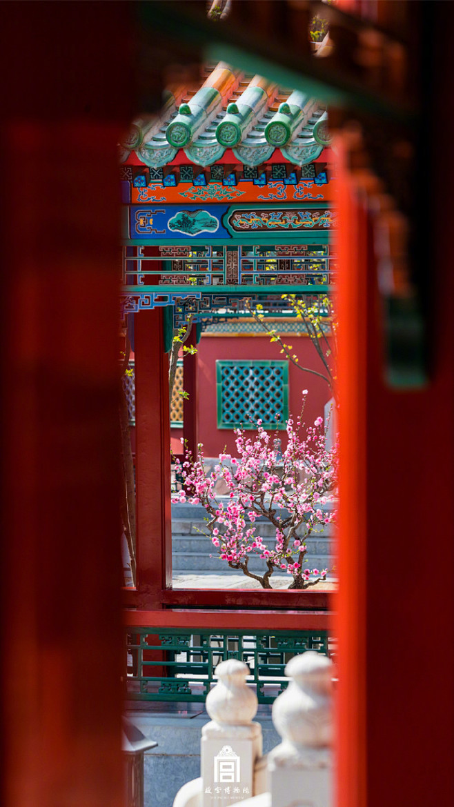 西红柿蛋汤加煎蛋采集到好想去旅行