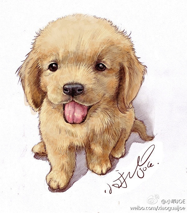 一些手绘的狗狗小乖
