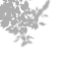 团子爱阳光采集到png