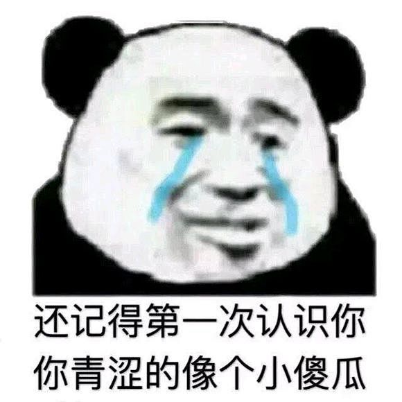 宝贝越采集到表情包