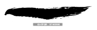 丫的NN采集到【字体设计】