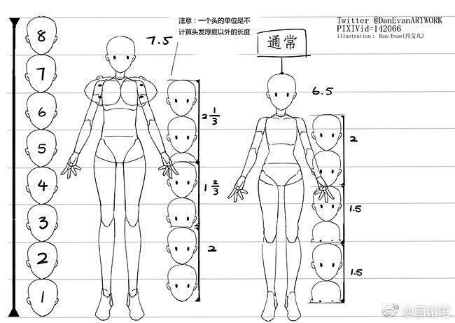 人体比例29头身的绘画素材九头身学习戳这里哦o网页链接绘画素材人体