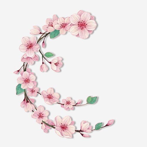 抽象花朵花卉桃花枝