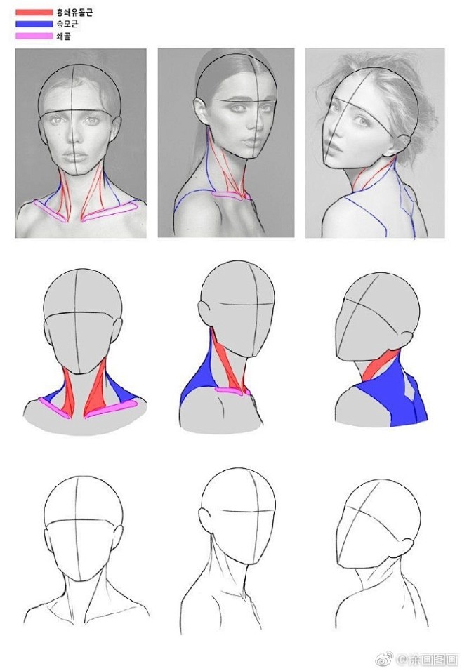 头颈肩关系绘画干货素材67676767
