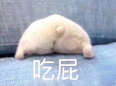吾名燕采集到表情包