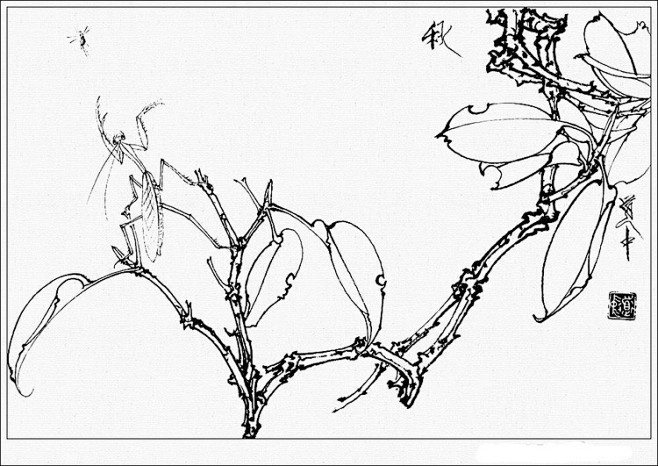 王道中工笔花卉白描欣赏李梨李梨