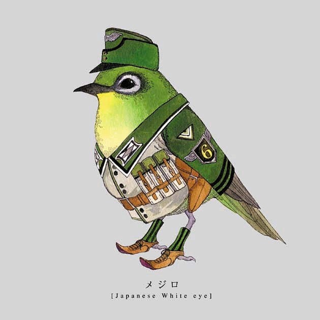 动物设计拟人化设计鸟拟人鸟动物插画水彩插画