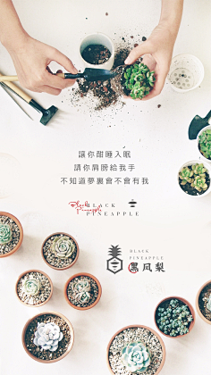 安然若橘_orange采集到多肉王国与疯狂的动物城