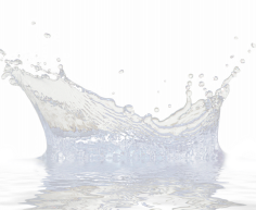 向日葵日上采集到水