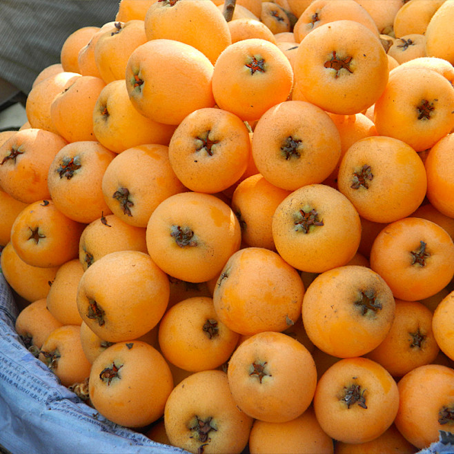 现货云南蒙自特级甜枇杷新鲜水果大琵琶枇杷5斤顺丰全国包邮