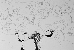 谭伯虎钢笔画采集到钢笔画by谭伯虎