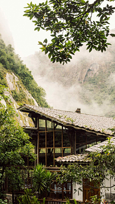 大猪蹄吖采集到背景