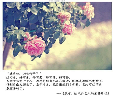 刺猬球球采集到一句话戳到心里