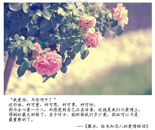 刺猬球球采集到一句话戳到心里