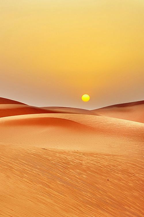 沙漠落日