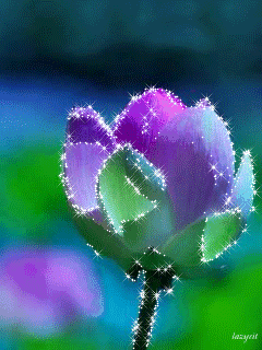 花闪-花瓣网|陪你做生活的设计师 | #gif# #鲜花# 灬铃兰灬采集