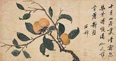 阿茶_茶茶采集到国画