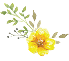__葉○采集到花草