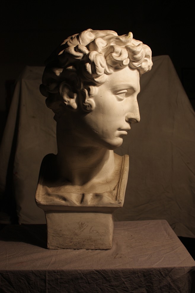 美迪奇侧面石膏像高清图片清图片