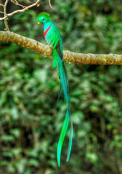 【攻略】持有美国有效签证可以免签或落地签去