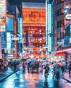 像橘子的太阳采集到一城 一人