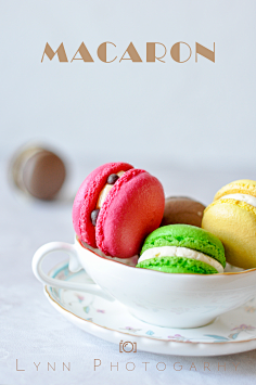 北体大校花最新私照变长腿公主 : 近日,北京体育