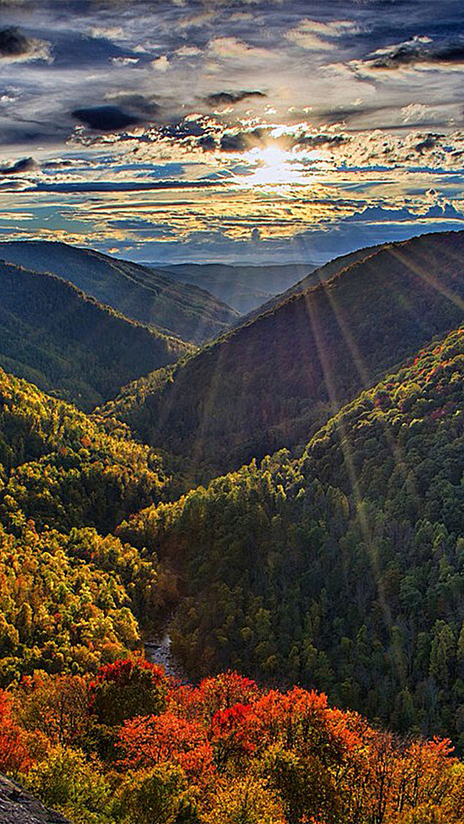 光线下的山林h5素材背景