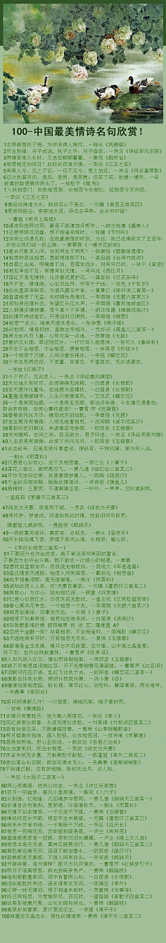 午夜风的花瓣采集到《插画心语》