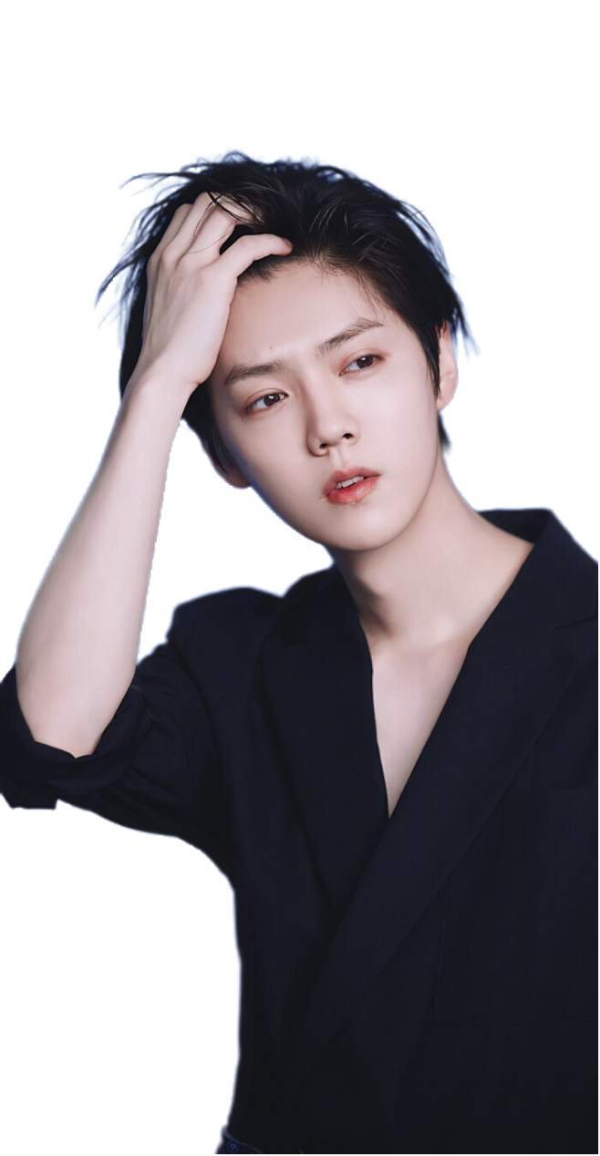 放星星的羊yang从宴九i转采于2021-03-31 15:15:44鹿晗立绘by小祝总