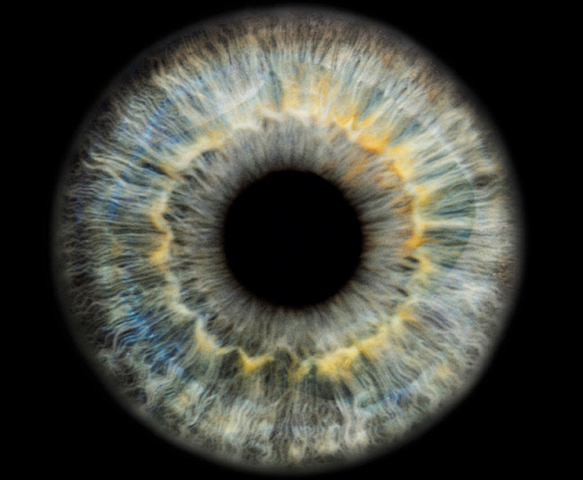 瞳孔眼球贴图参考