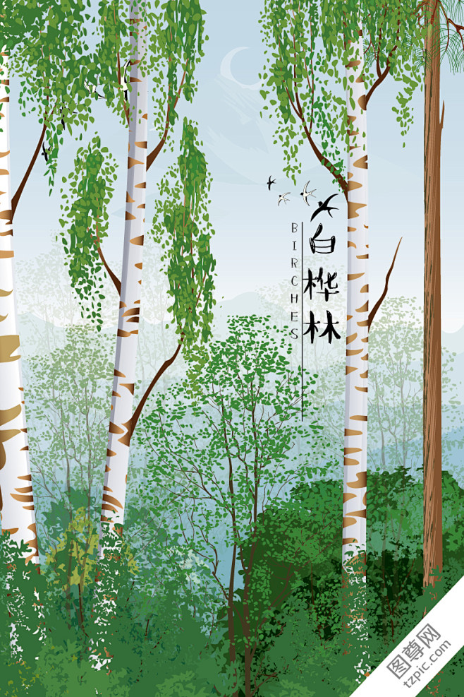 花水木5451采集到素材-灵感 风景素材 白桦树背景  水彩树木插画 森林