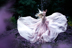 湖畔阴影采集到克里斯蒂·米切尔(Kirsty Mitchell),英国摄影师