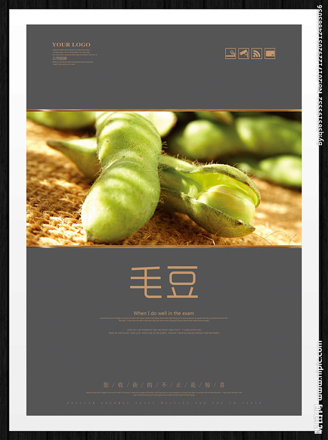 毛豆新鲜毛豆绿色毛豆五香毛豆毛豆展板毛豆广告蔬菜盐水毛豆糟毛豆