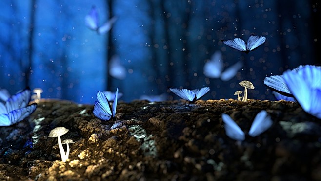 蝴蝶 蓝色 森林 幻想 伍兹 梦 超现实主义 大自然壁纸 放大背景 蓝色的天性 蓝色背景