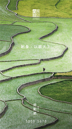 棉大花儿采集到汤臣一品合集