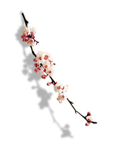 Yoker9采集到素材