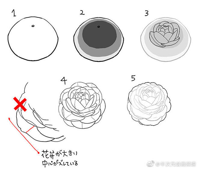 绘画参考 4种花朵 椿 乙女椿 紫阳花 樱花 的画法 来自绘师珠樹みつね Twi Tamaki Mitune 的分享
