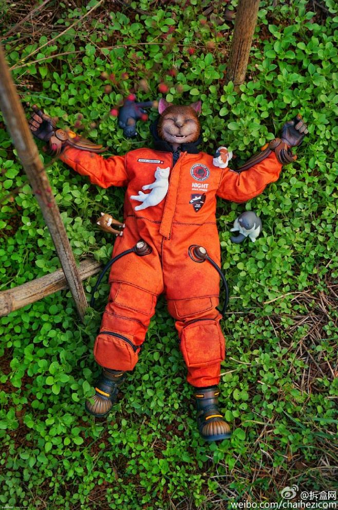 black13park暗夜航空组猫头补款即发o拆盒网black13park暗夜航空组