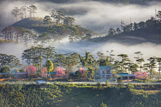 心灵的阳光采集到旅行风景