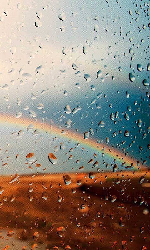 手机壁纸雨后彩虹