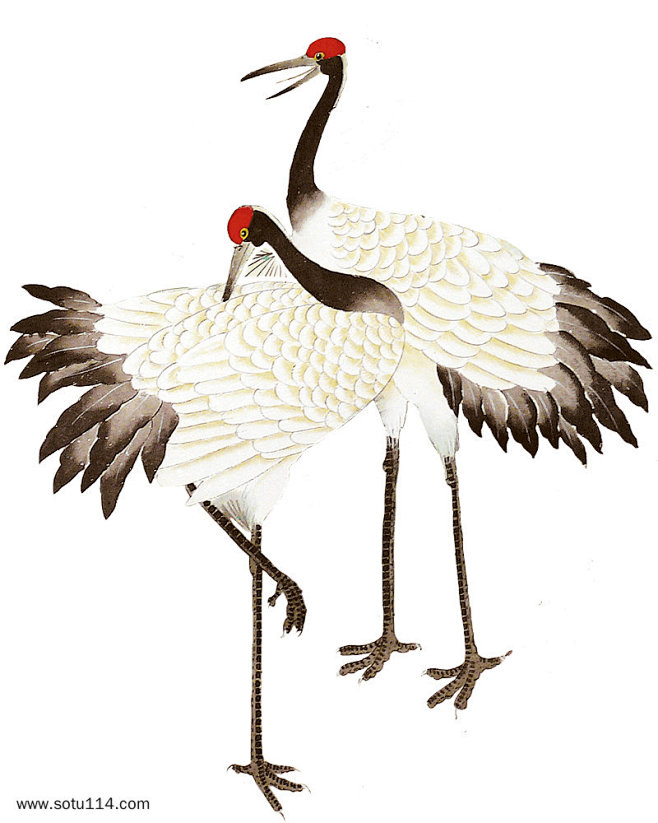 古典中国风仙鹤