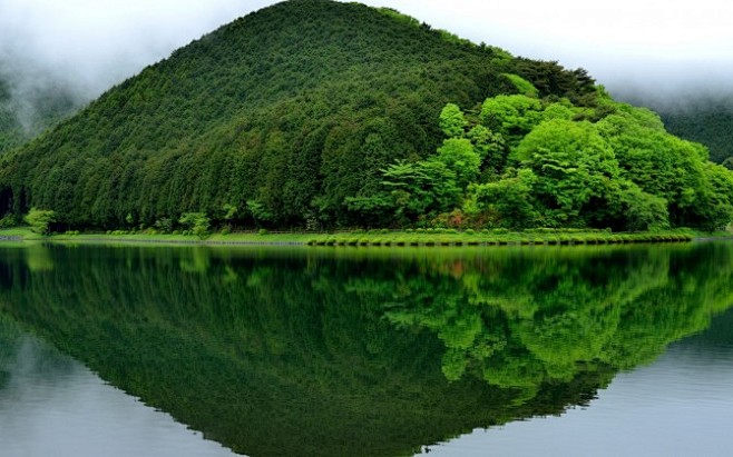 绿色树林高山景色电脑图片